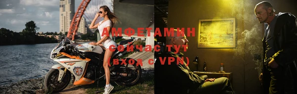 гидра Елизово