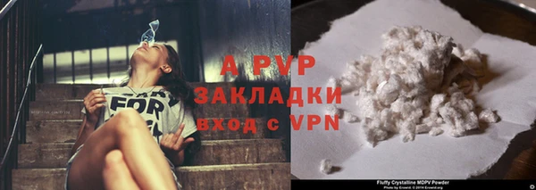 шишки Дмитровск