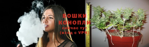мдпв Дмитриев