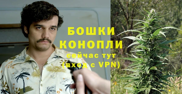 мдпв Дмитриев