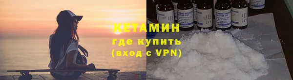 шишки Дмитровск