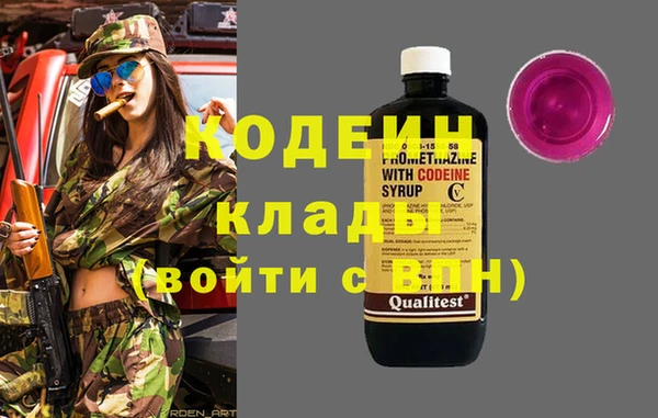 гидра Елизово