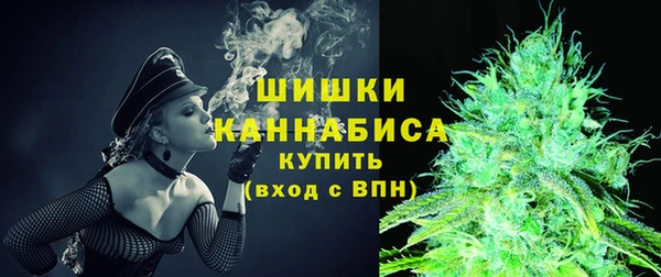 шишки Дмитровск