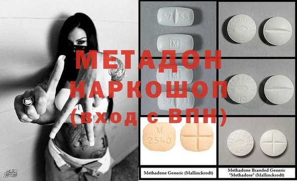 шишки Дмитровск