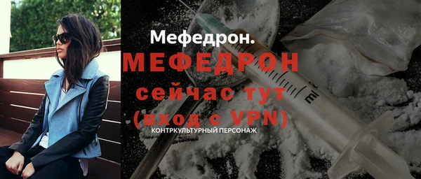 мдпв Дмитриев
