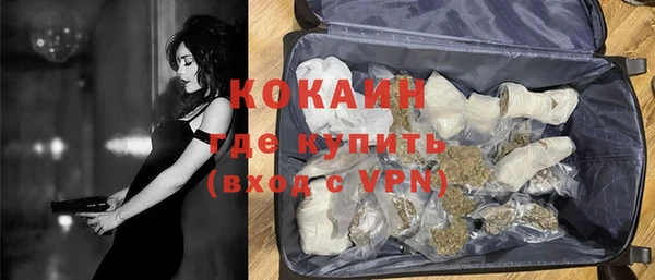 мдпв Дмитриев