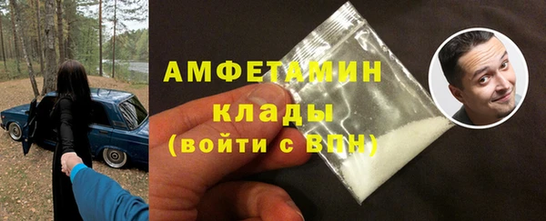 шишки Дмитровск